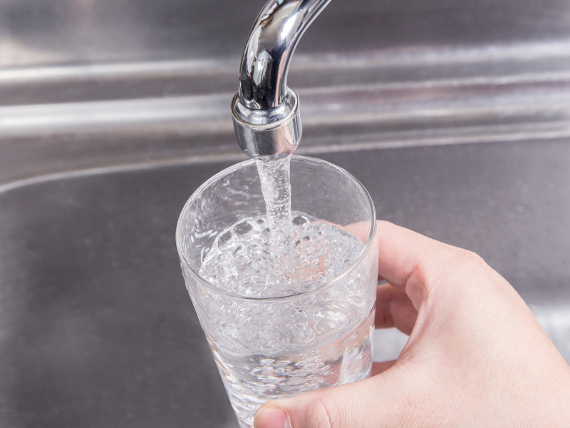 実は、“水”のわずかな違いが、料理の味を変える